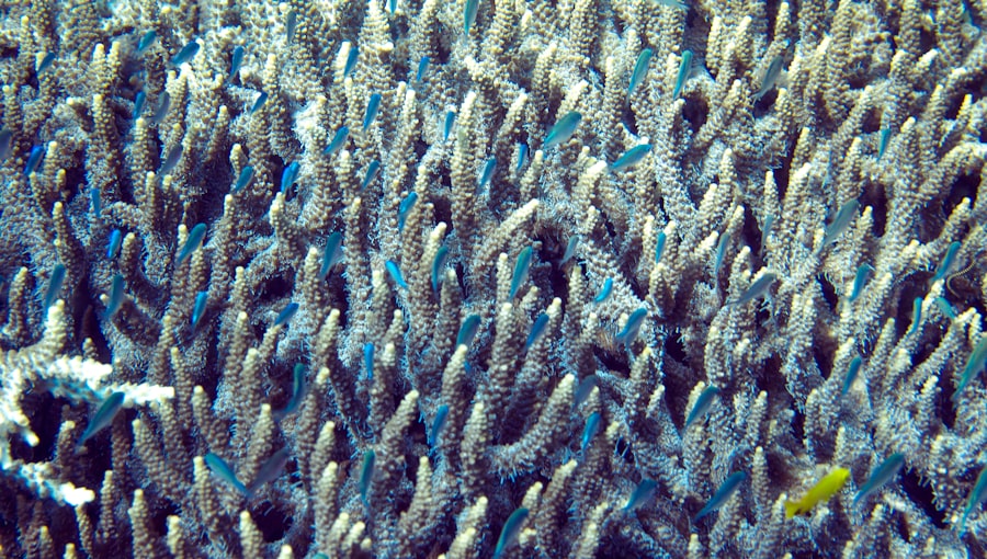 double crochet